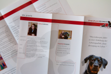 Flyer & Folder Flyer & Folder